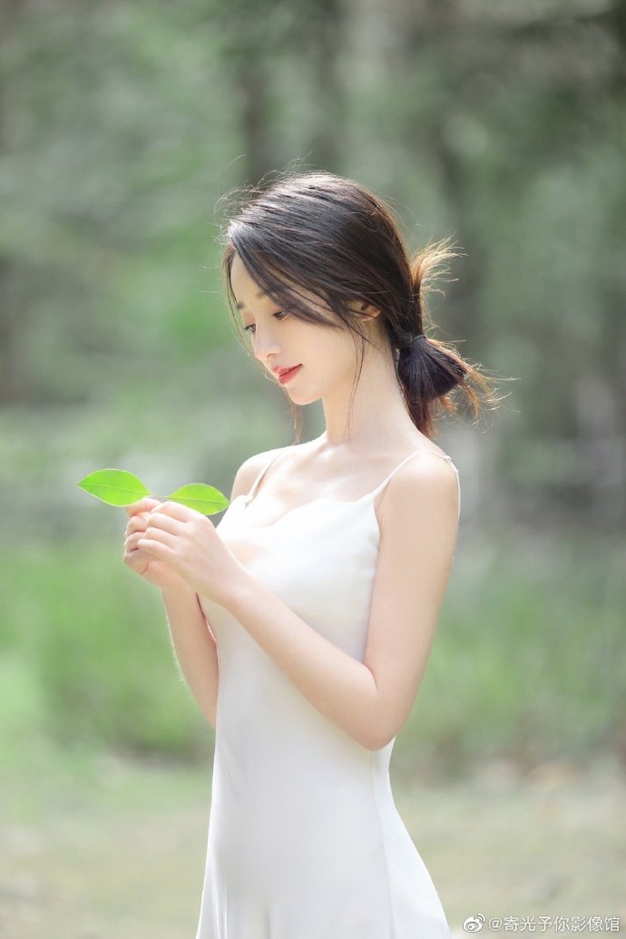 雍正王朝 封面
